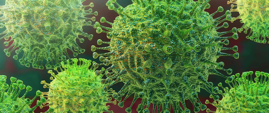 Opatření v boji s koronavirovou infekcí 